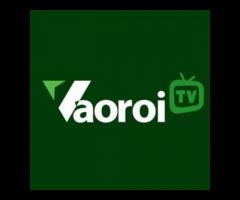 vaoroizagcc